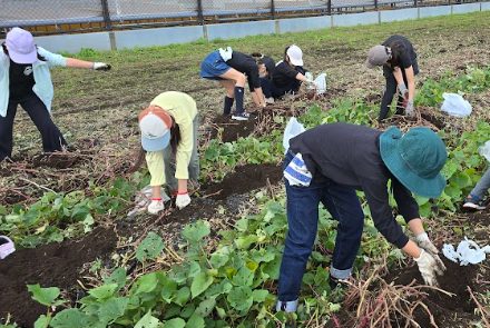 ３年生・梅の実学級　農業収穫体験