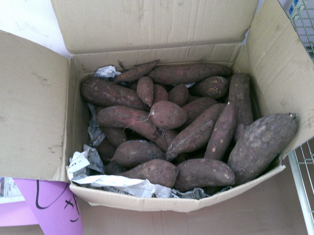 サツマイモパーティー