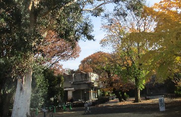 ２年生　生活科見学